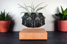 Load image into Gallery viewer, OverSoul // Levitating Planter
